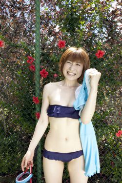 楼外楼电视剧