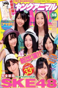 sd卡女佣